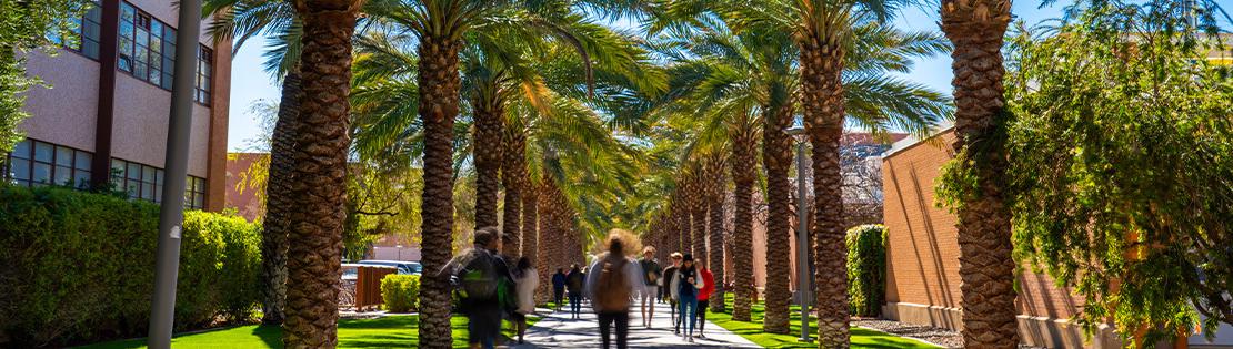 A breezeway with Palm trees at an ASU campus location
